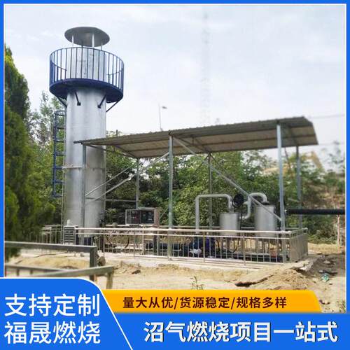 内燃式沼气燃烧器沼气火炬燃烧器废气处理设备