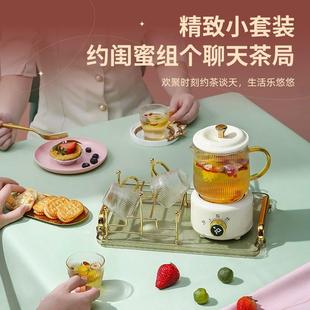 多功能电热杯养生杯养生壶迷你花茶壶办公电炖杯玻璃壶教师节礼品