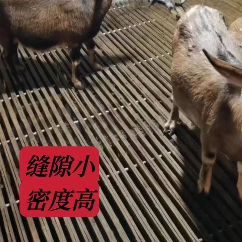 羊床板加厚竹笆子竹排羊粪板架子篱笆羊圈用竹子漏粪板养鸡鸭鹅