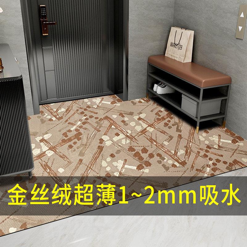 超薄地毯不卡门1mm金丝绒薄款地垫门垫入户门进门口吸水防滑脚垫