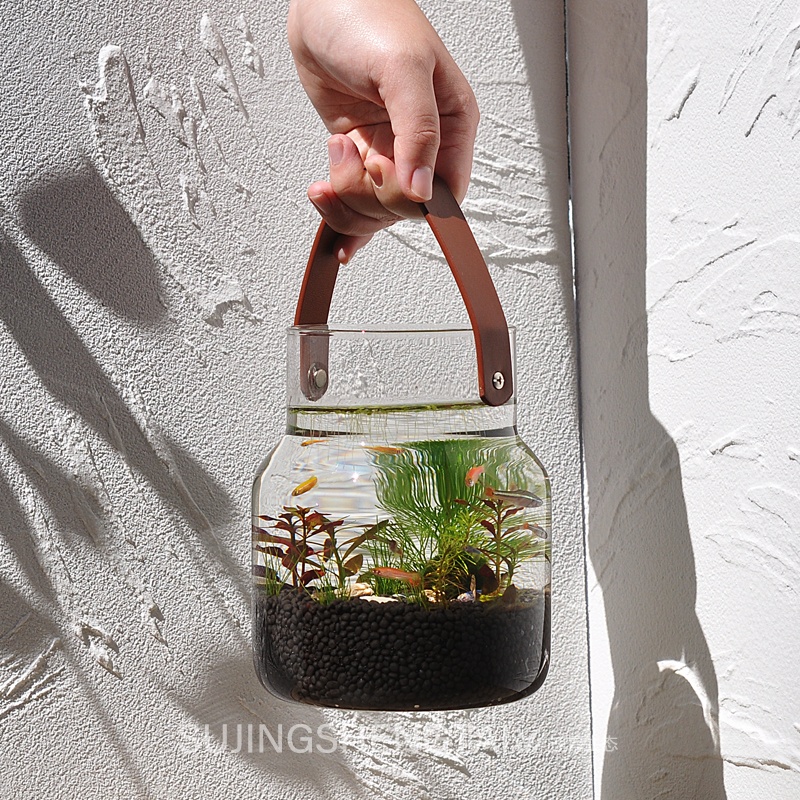 生态瓶微景观鱼造景DIY小鱼缸水族办公桌面客厅创意观赏免换水