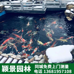 假山鱼池 设计施工灯光亮化水质净化锦鲤鱼养殖技术交流水布局