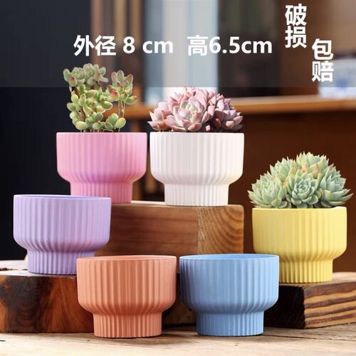 多肉花盆法师老桩盆大口径情绪稳定风北欧简约陶瓷花盆厂家
