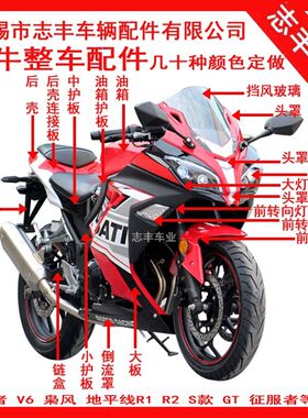 大牛外壳 头罩 大灯侧板大板导流罩前泥板玻璃后壳摩托车跑车配件