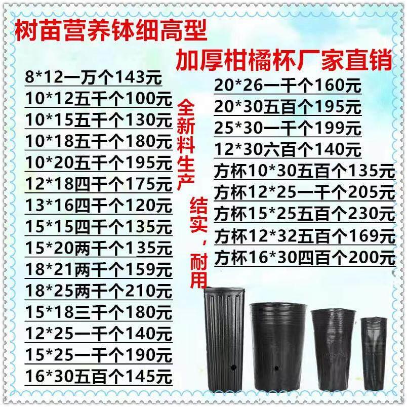 营养钵异型加高加厚圆口方口柑橘杯黑色塑料育苗杯树苗杯细高型