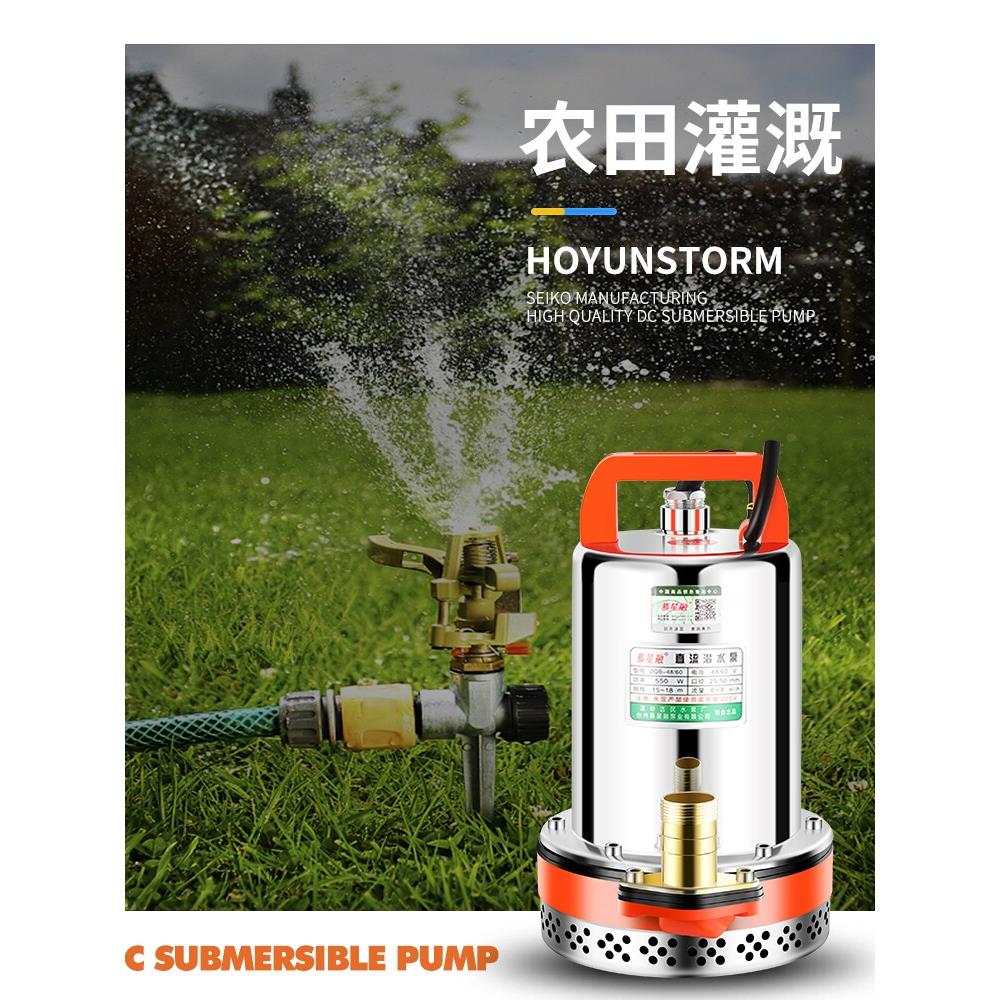 直流潜水泵48V60V72V电动车抽水机12V24V36V农用船用电瓶泵大流量