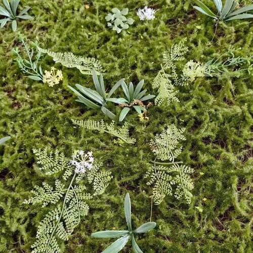 彷真青苔草坪植物墙草坪 苔藓草坪 植毛草坪成品带草草坪彷真植物