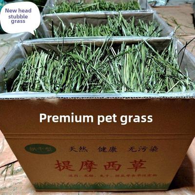 25岁的干燥蒂莫西草段盒装蒂莫西草兔栗鼠豚鼠兔粮兔草干草牧场