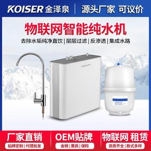 净水器家用厨下双出水纯水机RO反渗透直饮机物联网共享净水机精品