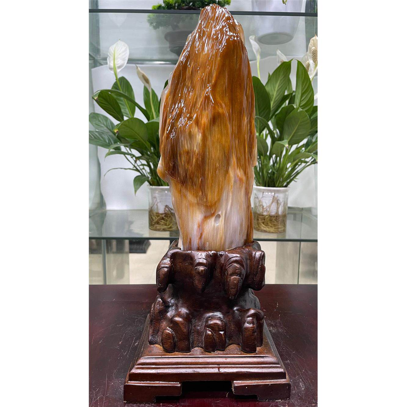 缅甸树玉石奇石天然桌面观赏石木玉石风水家居装饰小摆设镇屋原石