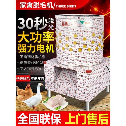 商用三鸟脱毛机鸡鸭鹅电动家禽乳猪去毛拔毛机不锈钢洗番薯土豆机