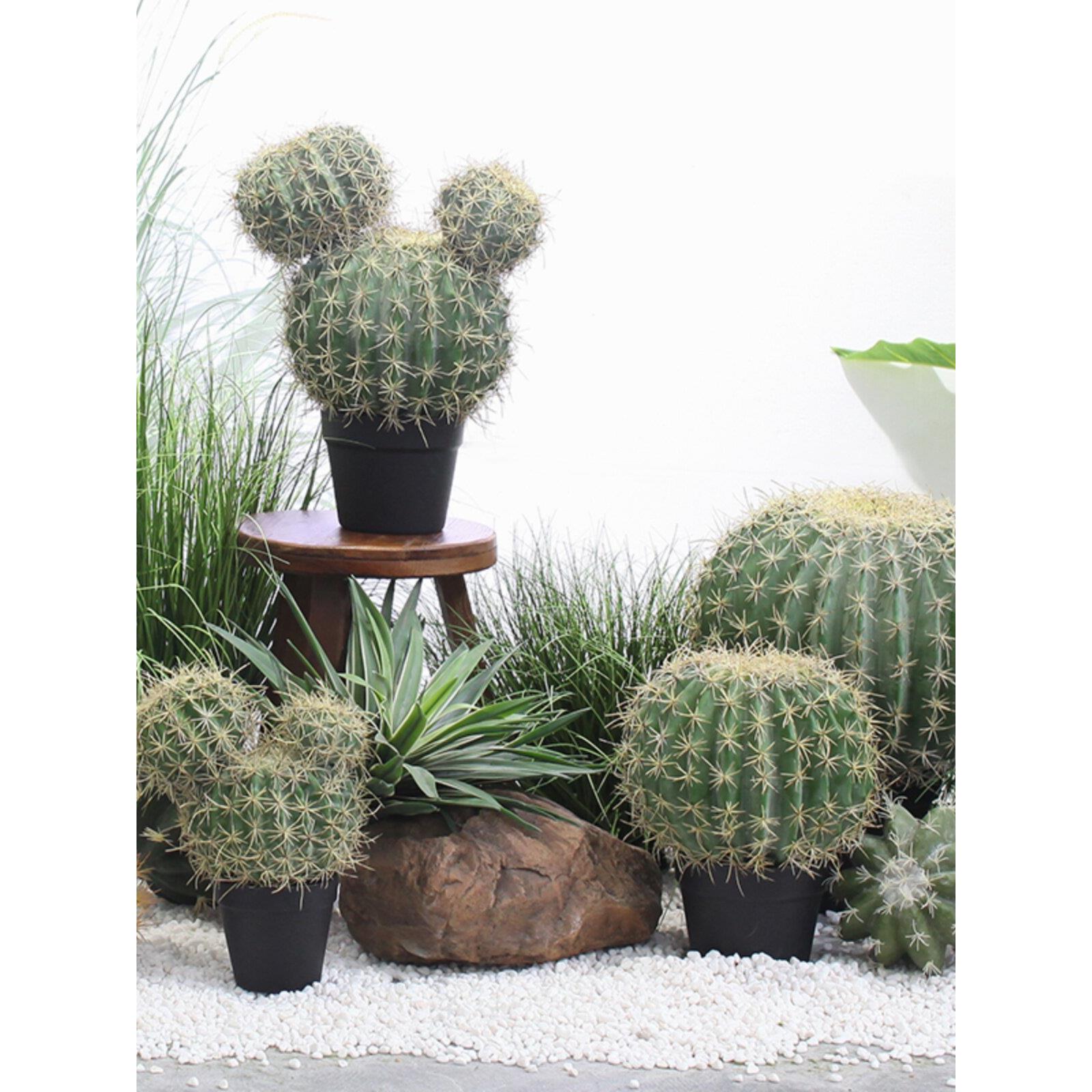 模拟植物仙人掌盆栽沙漠绿色植物景观美化装饰品斯堪的纳维亚家庭