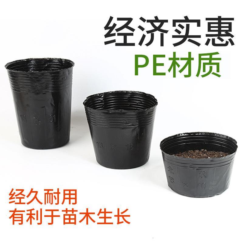 可降解纸浆育苗盆育种花盆营养盆培养盆营养钵定植盆营养杯育苗杯