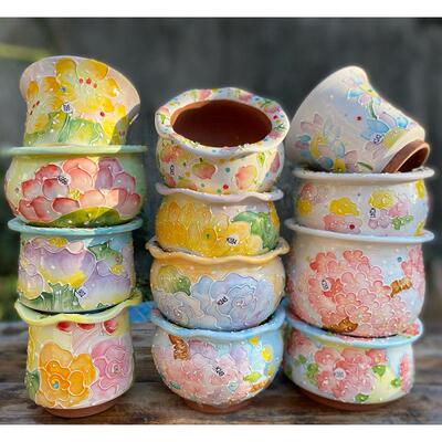 景德镇手绘濑户烧飞碟顶冠生石花麦秆女王多肉红陶镶钻花盆口7-12