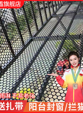 阳台防护网塑料网格围栏网窗台防猫掉封窗网养殖菜园栅.栏护拦鸡