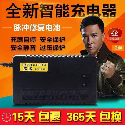 电动车电瓶充电器12V32A24V60A36V50A48V20A老人轮椅代步车乐吧车
