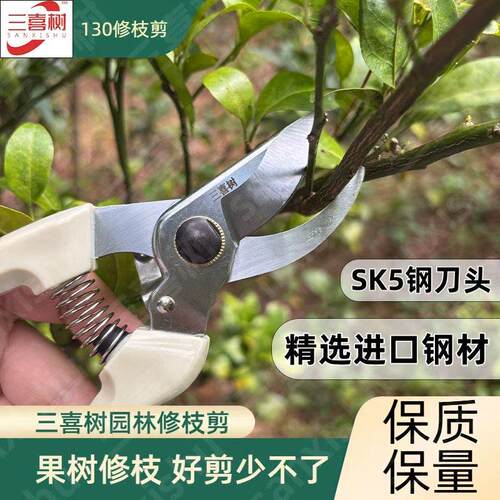 三喜树修枝园艺剪刀家用果树修枝专用剪树枝花艺剪子省力园林工具