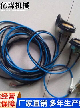 DLEC2本质安全型电子喇叭操作灵活电子喇叭厂家直营现货直发