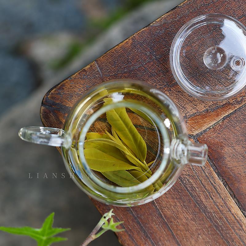春归龙旦壶手工高硼硅耐热玻璃绿茶壶泡茶壶家用功夫茶具小茶壶