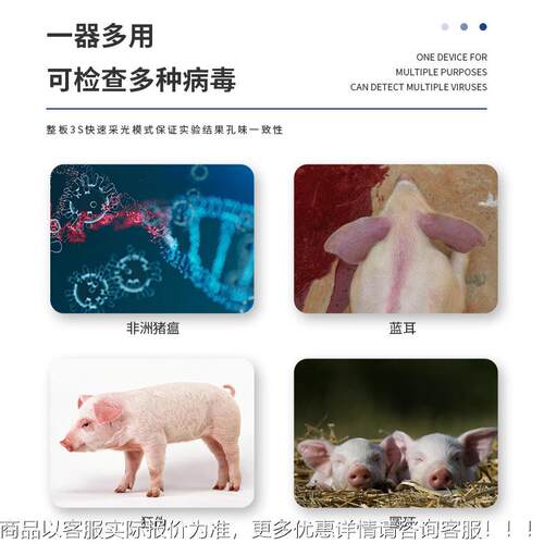 非洲猪瘟检洲测pcr仪养猪实验BLP场速室检测方案快非猪瘟核酸检测