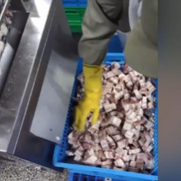 大型鸡肝鸭肝切碎机一次成型冻鱼盘破碎设备牛腱子肉冻肉切块机