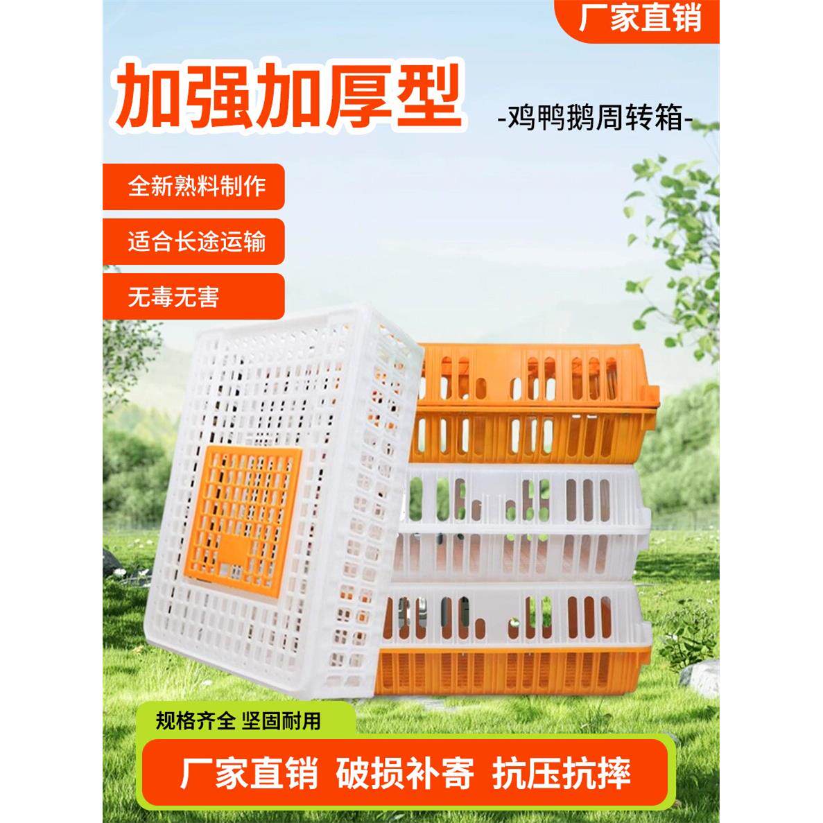 鸡笼运输笼塑料家禽周转箱筐家用大号兔笼养殖笼成鸡鸭鹅鸽子笼子