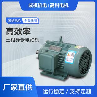 YE4系列高效率三相异步电动机 立式卧式高效节能电机高效率电动机