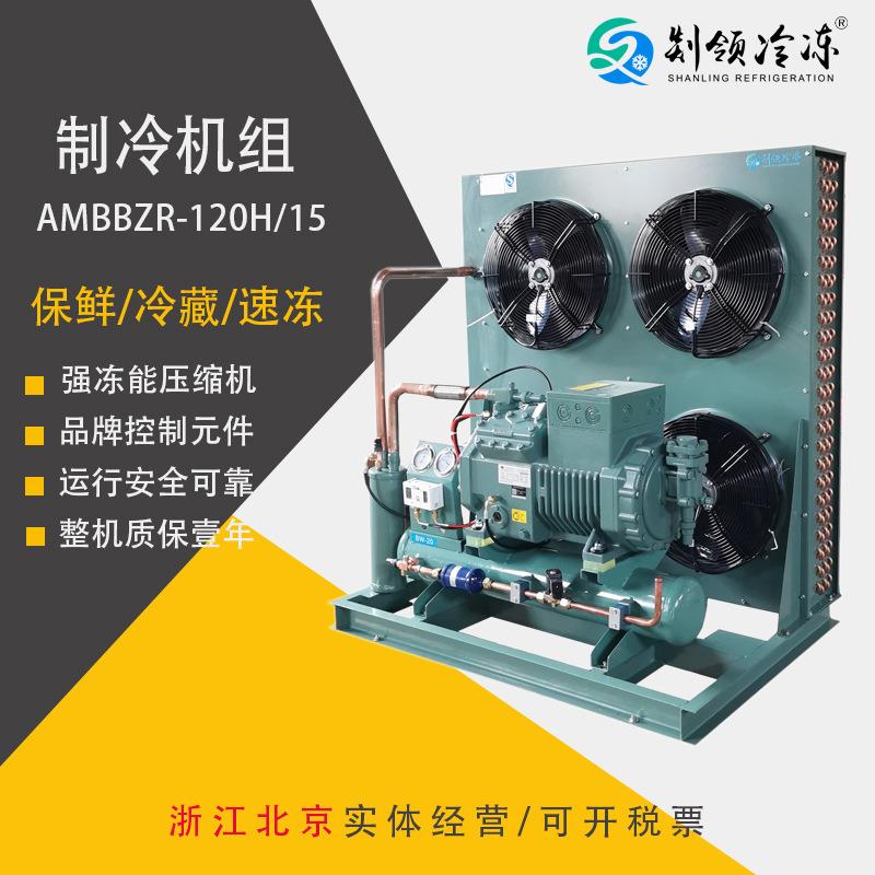 比泽尔 制冷机组 冷冻设备 压缩机 保鲜 速冻机 15匹制冷机组