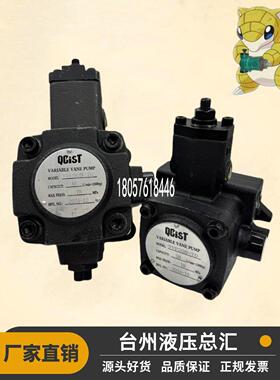 VVP20B/55秦川机床QCIST叶片泵VVP30B/70 VVP40B/35 VVP20B/70/35