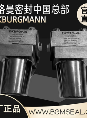 Magnetic filter MAF2001/G3/4-00磁性过滤器MAF2001/G1-00滤芯网