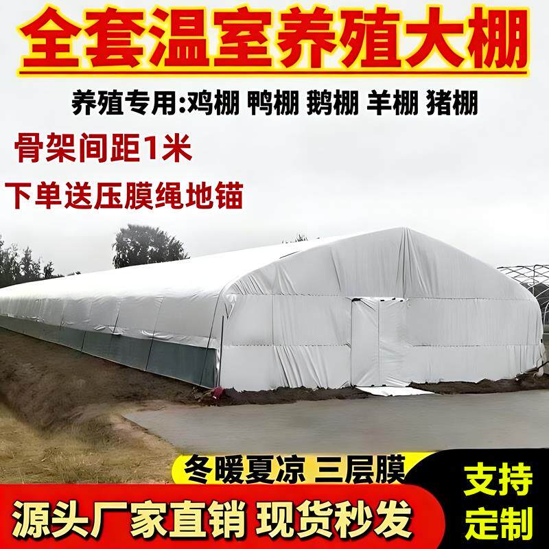 温室大棚养殖大棚全套养鸡棚养鹅棚养猪牛羊大棚骨架种植大棚钢架