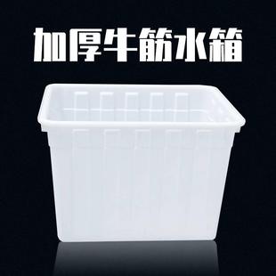 加厚牛筋塑料水箱长方形养鱼水产养殖浅盆家用储水桶大容量塑料桶