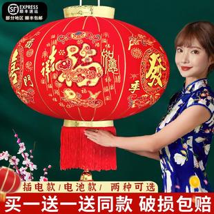 灯笼2025新款蛇年丁财两旺新年春节大门口阳台一对过年红灯笼挂灯