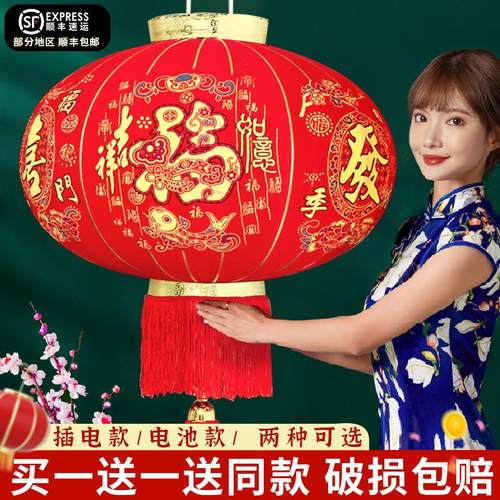 灯笼2025新款蛇年丁财两旺新年春节大门口阳台一对过年红灯笼挂灯