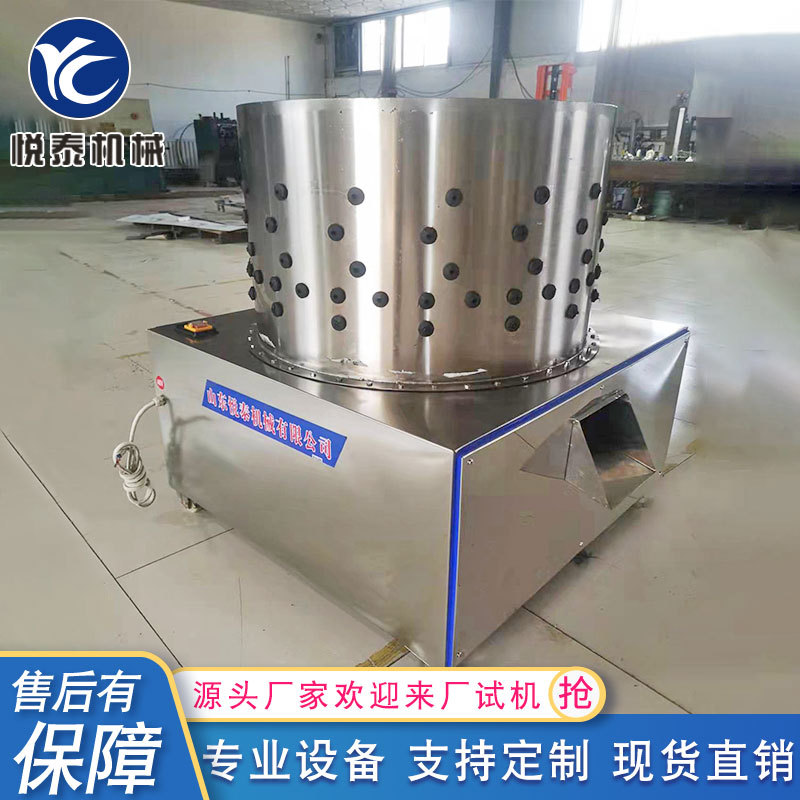 不锈钢家禽脱毛设备 50型全自动小型脱毛机 商用电动鸡鸭鹅打毛机