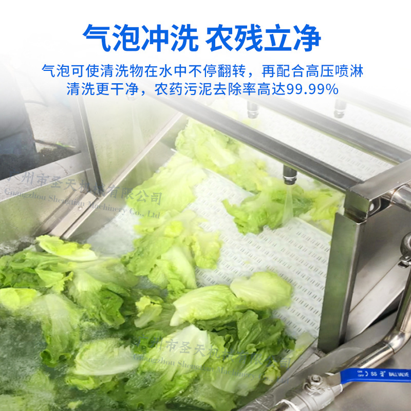 果蔬气泡清洗机清洗叶菜水果菠萝荔枝圣女果全方面清洗不损物料