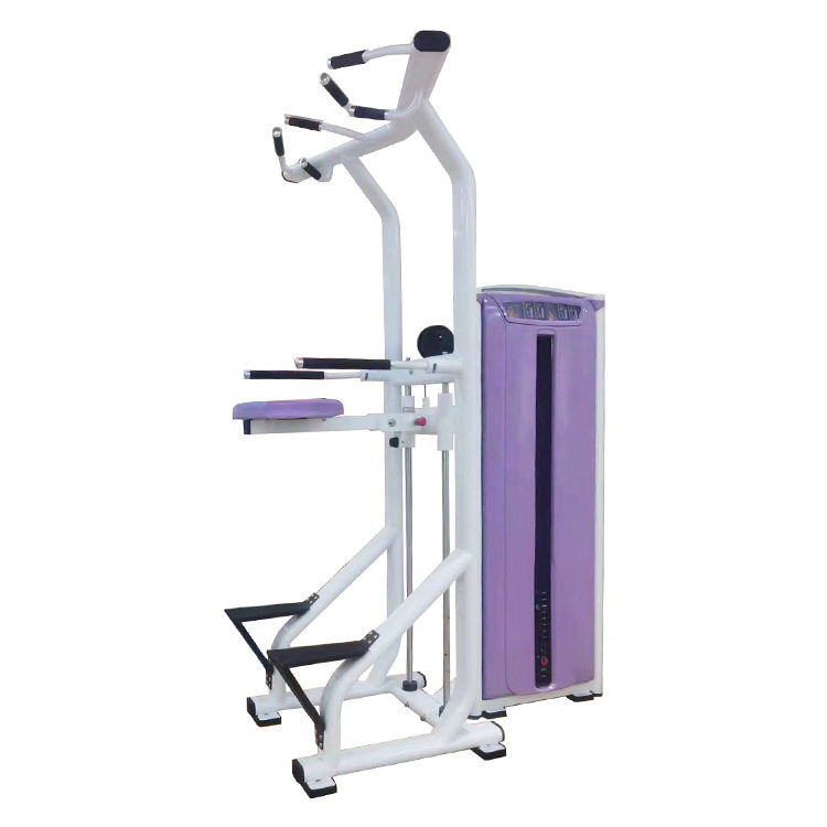 运动健身器材 助力式引体向上训练器 手臂屈伸单双杠力量训练器械