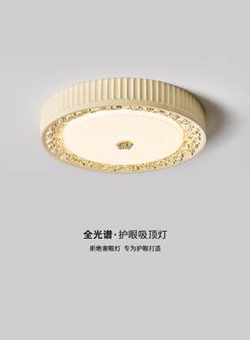法式树脂客厅吸顶灯原创浮雕艺术阳台卧室灯现代简约欧式主卧灯具