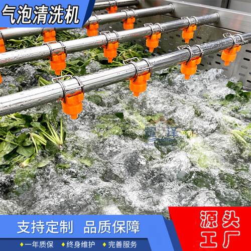 商用全自动水果蔬菜气泡清洗机高压喷淋洗菜机净菜预制菜加工设备