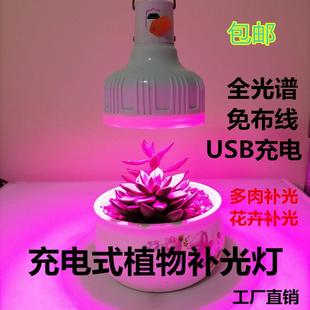 植物灯充电款全光谱生长灯可移动式全光谱补光灯防太阳多肉上色灯