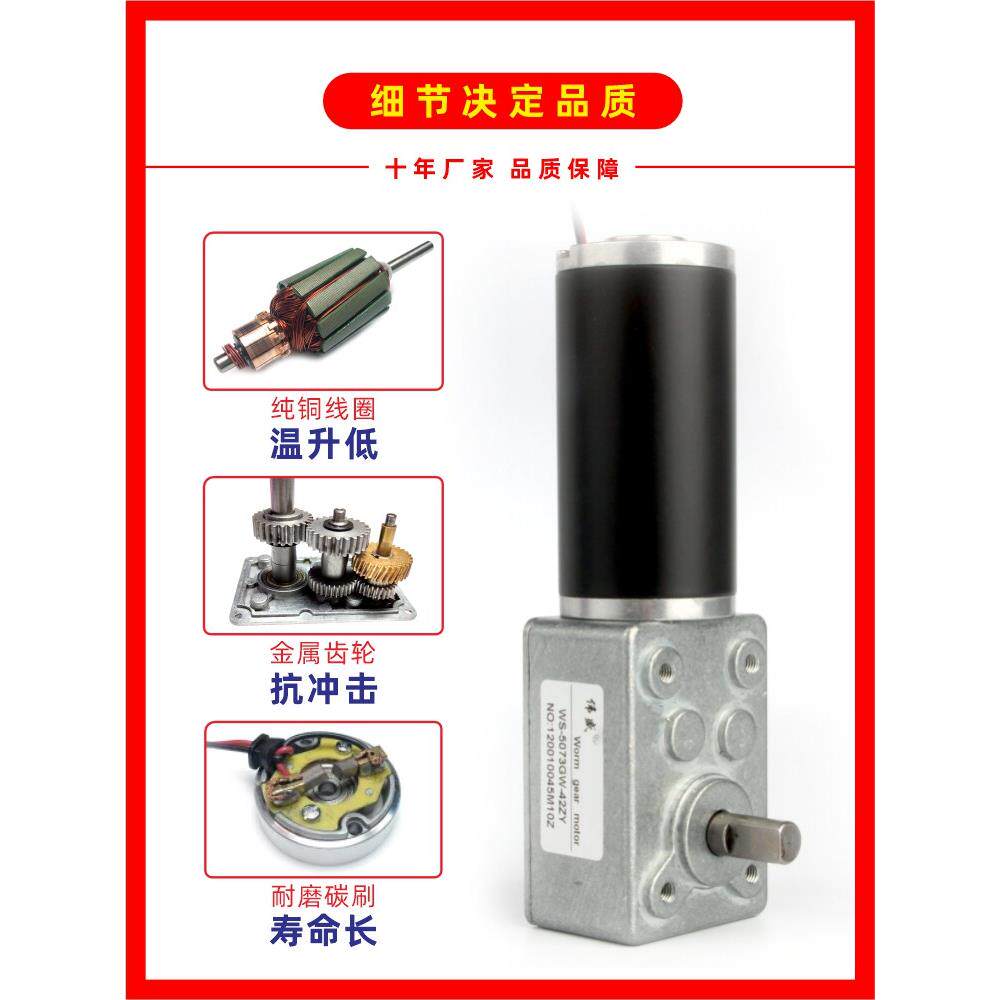 伟盛42ZY涡轮蜗杆直流减速电机12V24V大扭矩低速正反转调速小马达