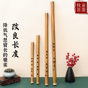 短萧洞箫零基础入门便携苦竹级短萧迷你笛子古风六F调初学乐器