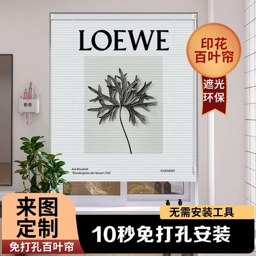 2024新款印花百叶卷帘窗帘免打孔安装遮光遮阳厨房办公室浴室窗户
