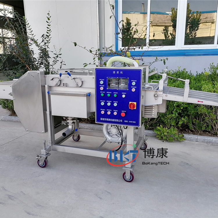 博康浸入式黄金奶酥裹浆机 年糕上浆机 休闲食品上浆裹糠设备