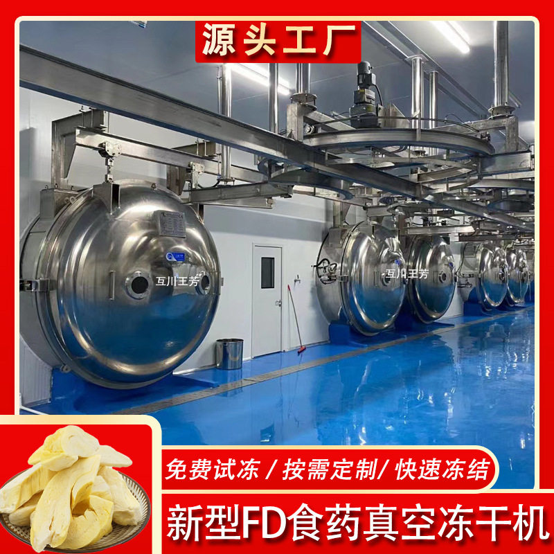 10平米蓝莓冻干机100平水果香蕉片食品真空冷冻干燥机生产线