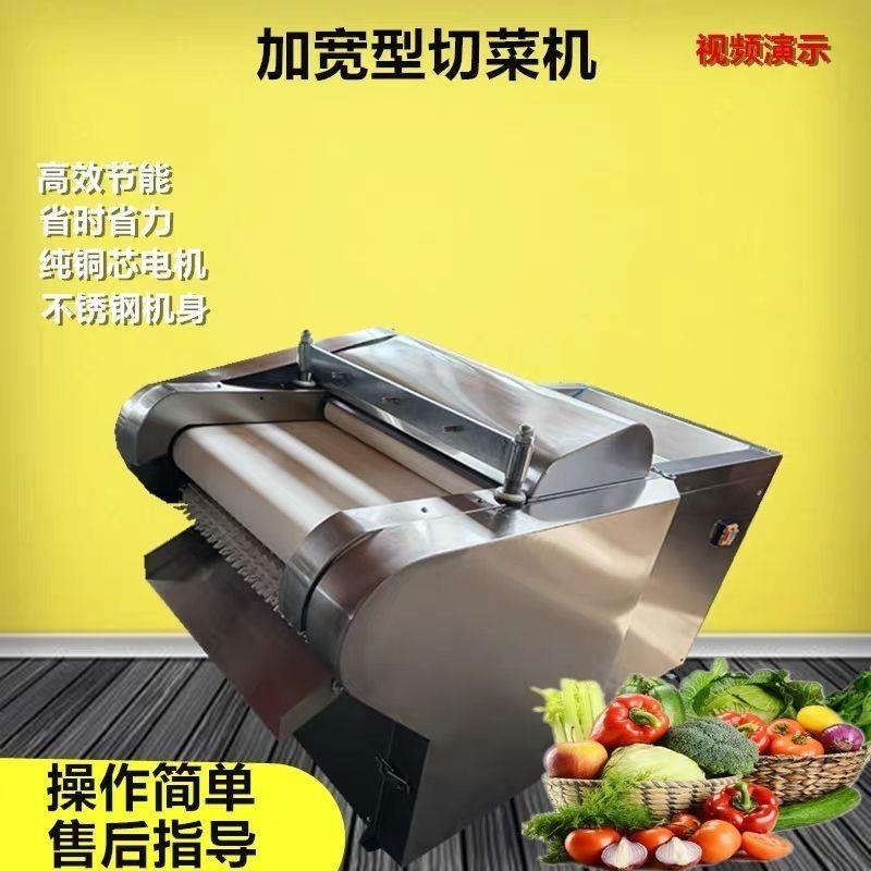 2000型加宽50cm商用切菜机切荷叶桑叶腐竹豆皮千张海带切丝块段厂