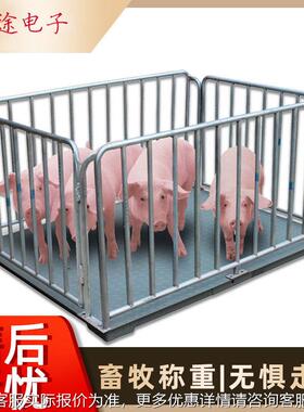 加抖厚畜-牧养殖场带围电子地磅13吨防动电栏BT-XM1子磅秤猪羊牛