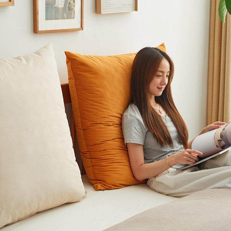 2025新款大抱枕靠垫沙发客厅靠背枕床头软包床上大靠背定制靠枕套,居家布艺,靠垫/抱枕,淘宝优惠券,粉丝福利购,淘宝优惠卷