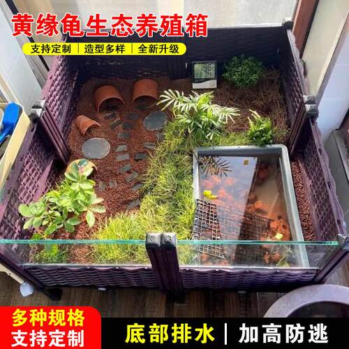 黄缘龟专用缸家用陆龟半水龟缸环境造景安缘台缘饲养闭壳龟养殖箱