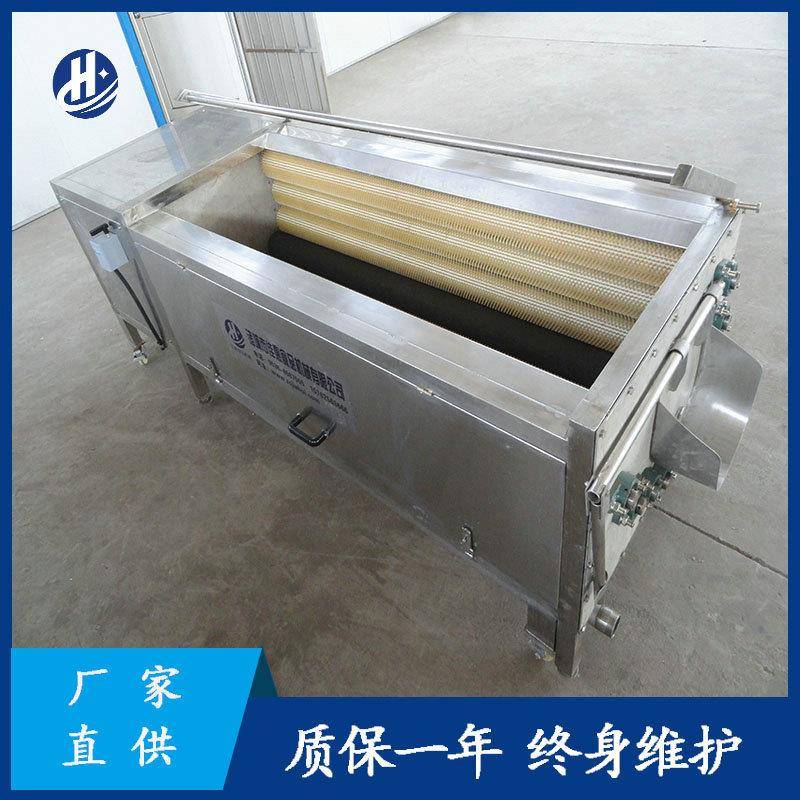 不锈钢去皮毛辊清洗机全自动小型莲藕磨皮机毛刷土豆红薯清洗机